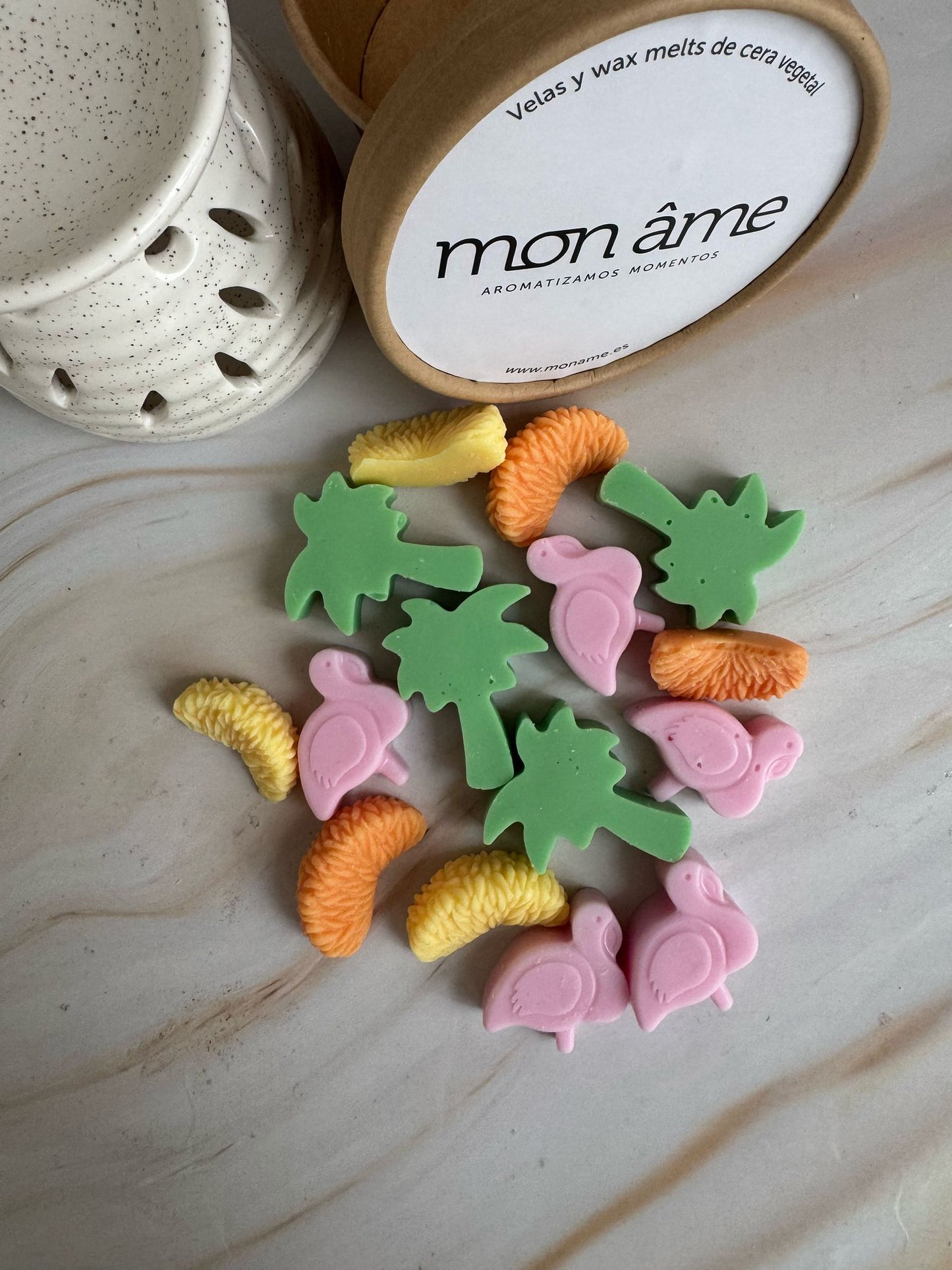 Wax melts “Coco y Cítrico”